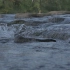 空镜头视频 河水水流溪流湍急 素材分享