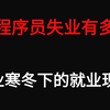 2026年，现在程序员失业有多严重？行业寒冬下的真实就业现状——马士兵