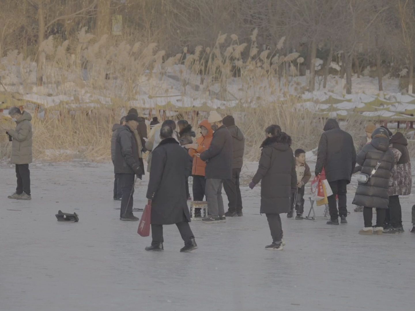 达芬奇调色练习素材分享 196