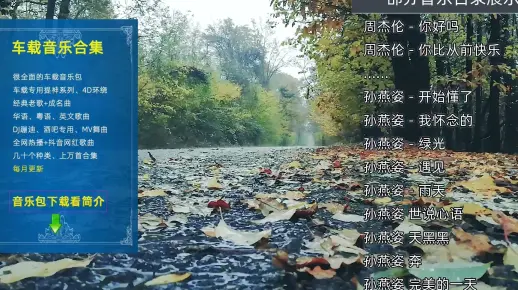 伤感情歌车载优盘_无损音乐_音乐包大全打包下载