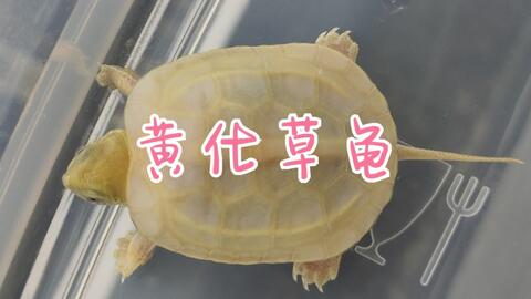 686e848ffb30846bafdbceb51d1a971e617c1ba2.jpg@480w_270h_1c