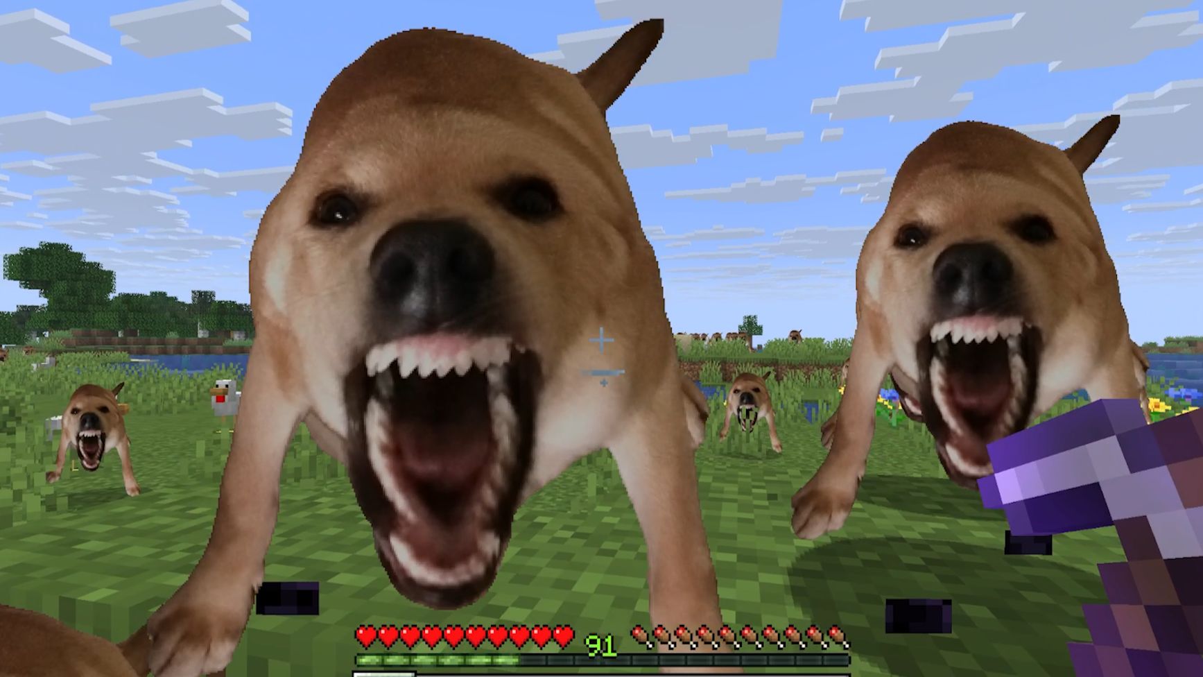 大！狗！叫！！
