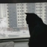 【黑猫日常】猫和去年冬天的第一场雪