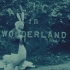 【早期爱丽丝珍贵影像】1903 高清 Alice in Wonderland — Highest Quality