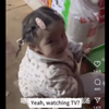 tiktok外网看中国小女孩当老板卖东西，老外:好可爱啊