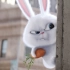 一只看似可爱的兔子，真正的身份却是黑帮老大，一部搞笑动物电影