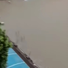 河南省实验中学