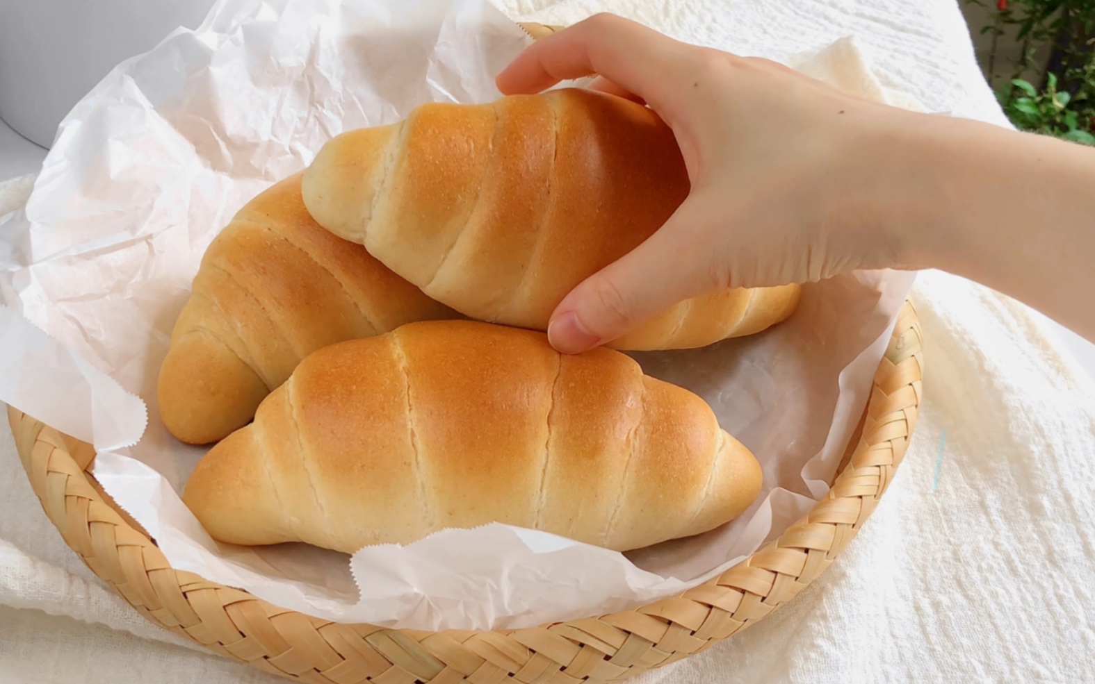 简单烘焙｜全麦鲜奶卷｜治愈系手作面包🥐