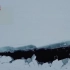 俄罗斯3艘核潜艇在北冰洋同时破冰出水