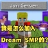 【MCYT/Eryn/中文字幕】我是怎么加入Dream SMP的？