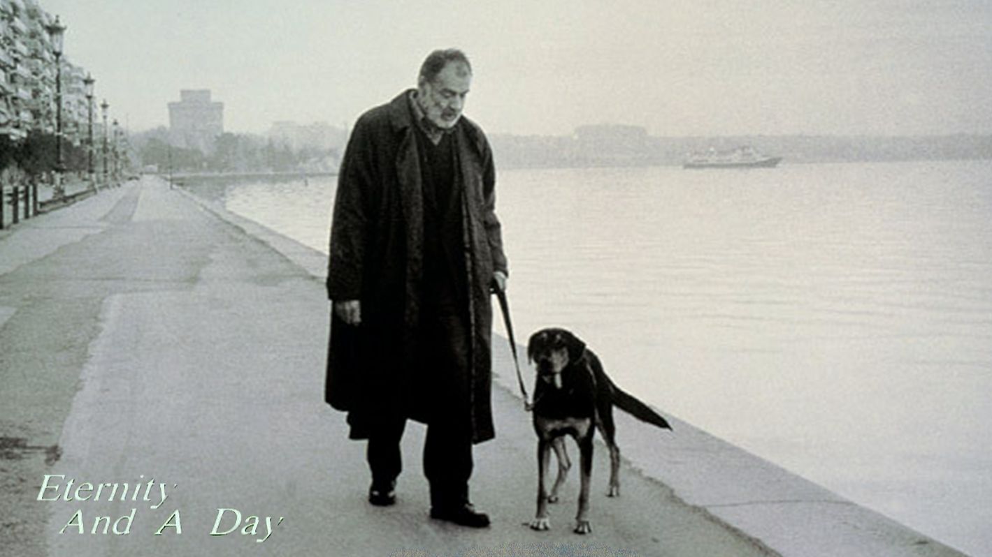 1998剧情《永恒和一日》中字1080p（ 西奥·安哲罗普洛斯）