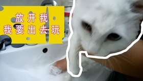 690229cb263b6a8485bb41688ababaf26f65858a.jpg@280w_158h_1c_100q.jpg