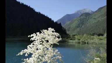 Exploring the Majestic Jiuzhaigou and Huanglong <em class="keyword">Scenic</em> Areas