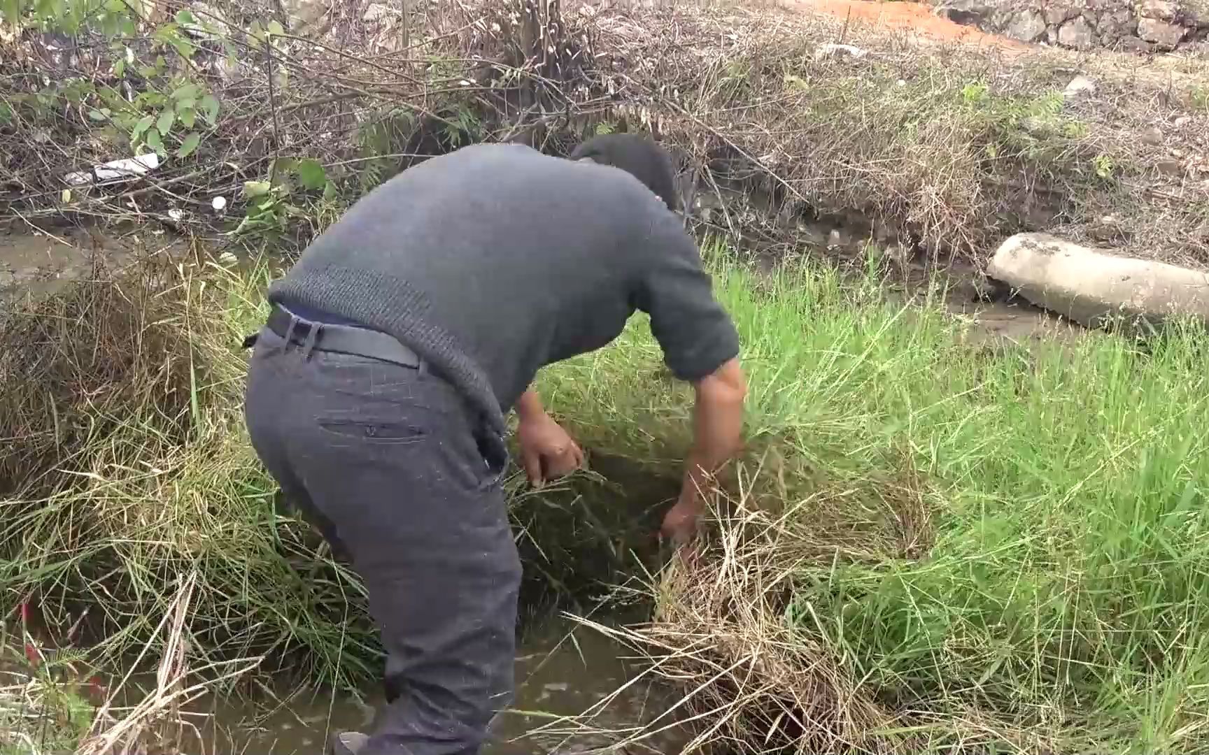 华子舀干野塘捉鱼,翻开石板呼呼大叫,看看下面藏了什么