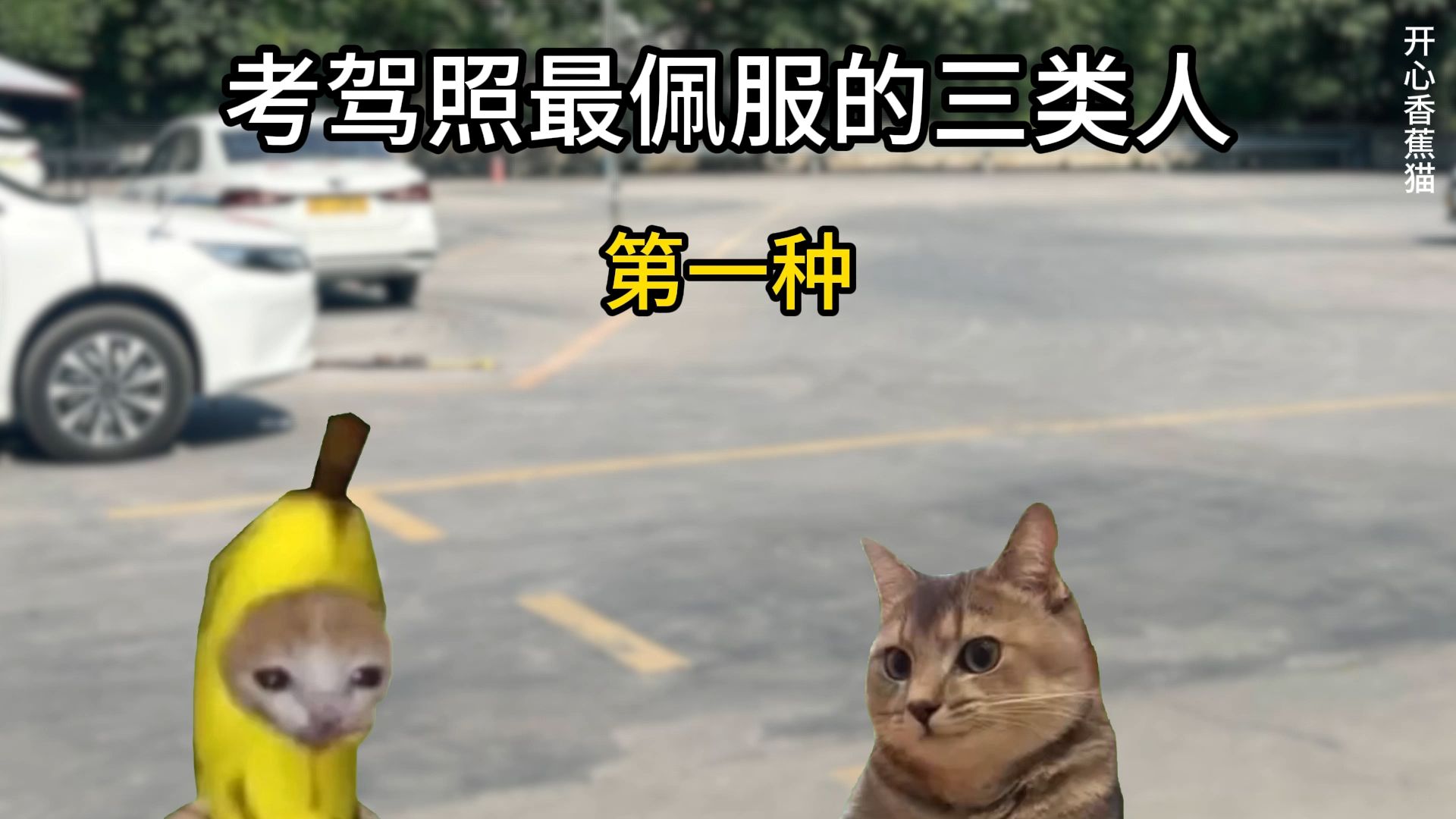 考驾照最佩服的三类人