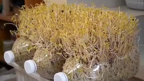 69287e07bddb5f96eee3915159dd1d95ce0c5bc6.jpg@280w_158h_1c_100q.jpg