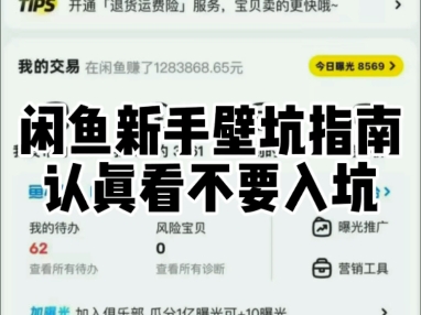 闲鱼新手避坑指南认真看不要入坑了