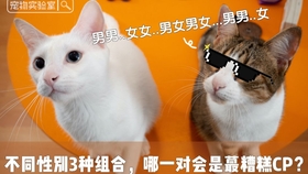 6944e39ca911c1f43030ab6a0b386fc4ca7a1cae.jpg@280w_158h_1c_100q.jpg