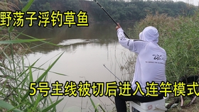 为啥要打窝 694670e25a49fb9f074ebb9785edc46d7d9cadee.jpg@280w_158h_1c_100q.jpg