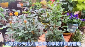 694690c11d939bd720c5678bf0b0c0b5d1f2fc1e.jpg@280w_158h_1c_100q.jpg