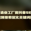 制造业工厂做抖音SEO短视频搜索优化关键词排名-必知误区