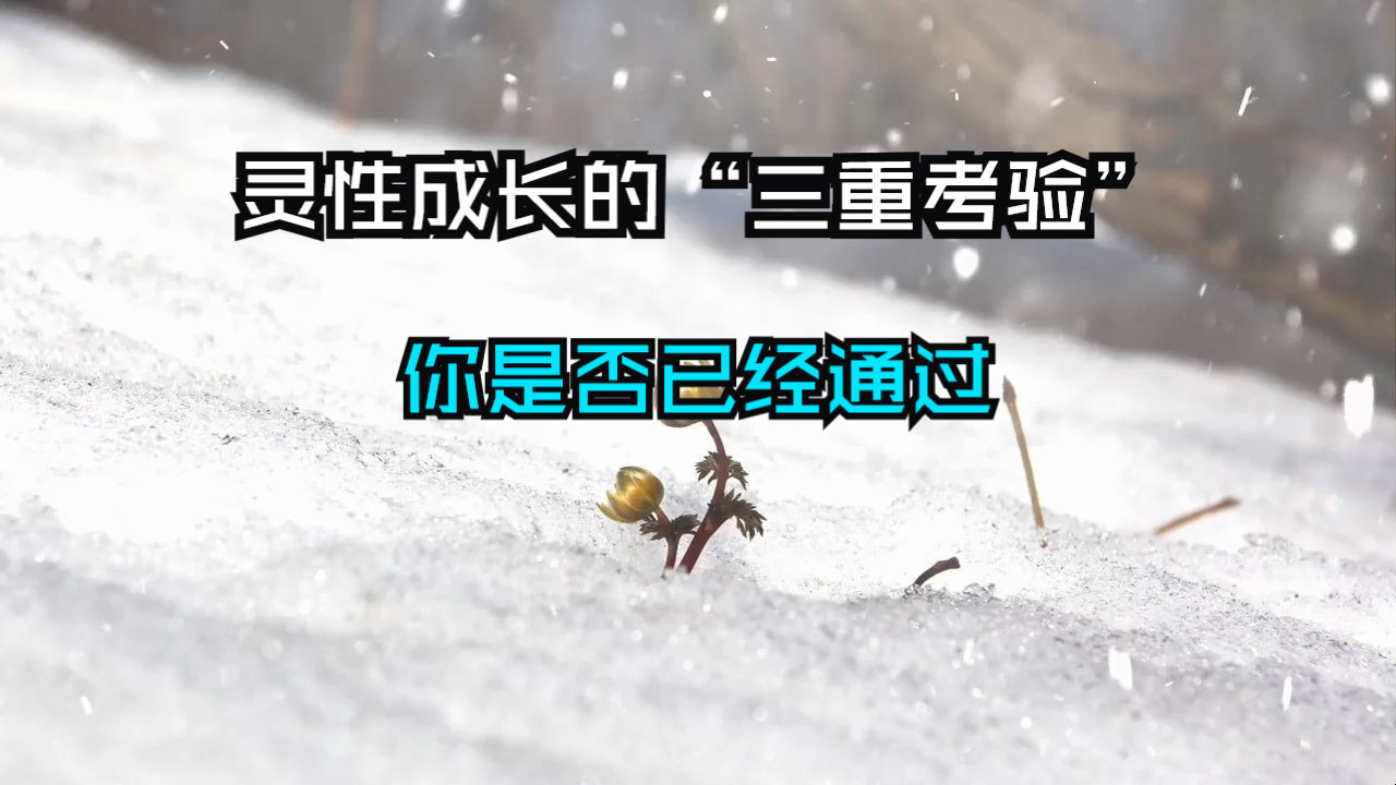 恭喜你！能够看到这个视频，说明你已经成功通过了灵性成长的“三重考验”，跨越了层层障碍，迈入了更高的觉悟境界。