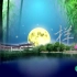 月光下的凤尾竹 葫芦丝演奏傣族舞蹈表演LED背景视频素材, 视频制作 包素材网