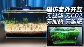 6967a4018b9d3ff0793018d7250c8fbea288f241.jpg@280w_158h_1c_100q.jpg