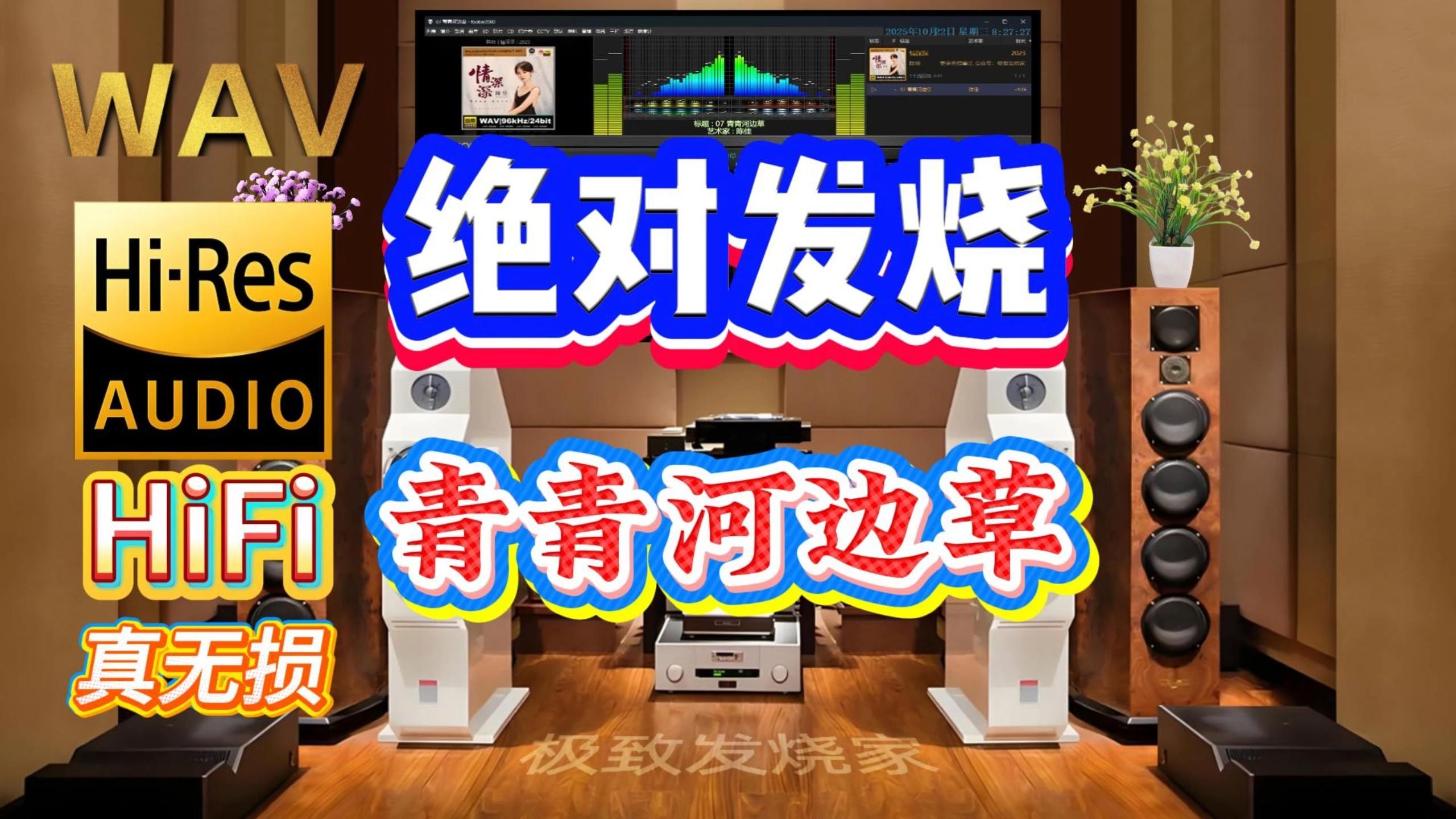 极品试音30辑，96khz单曲100MB以上 《青青河边草》