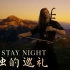 【法国二胡骑士Eliott】Fate/Stay Night - 《孤独的巡礼》二胡cover