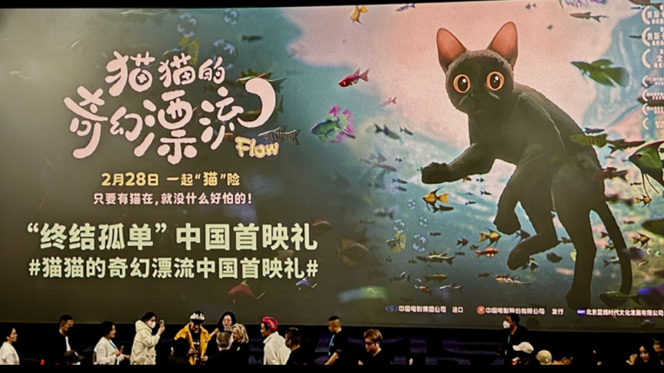 《猫猫的奇幻漂流》中国首映礼映后环节！安安桑Cinema安安桑Cinema哔哩哔哩视频
