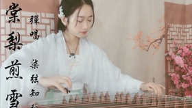 半生雪古筝曲谱_半生雪古筝谱(2)