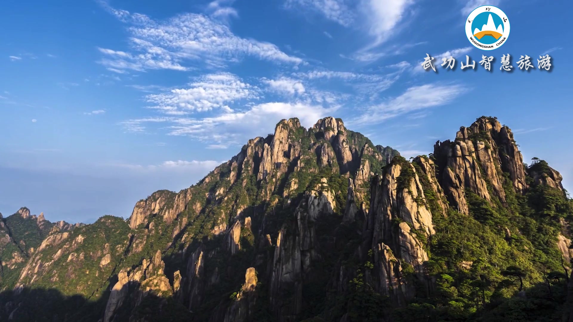 非看不可的悲剧电视剧