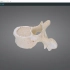 【医维度解剖app】椎骨的一般形态