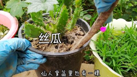 69c69f7129faa066ccfb7253cf348854fbc606b3.jpg@480w_270h_1c