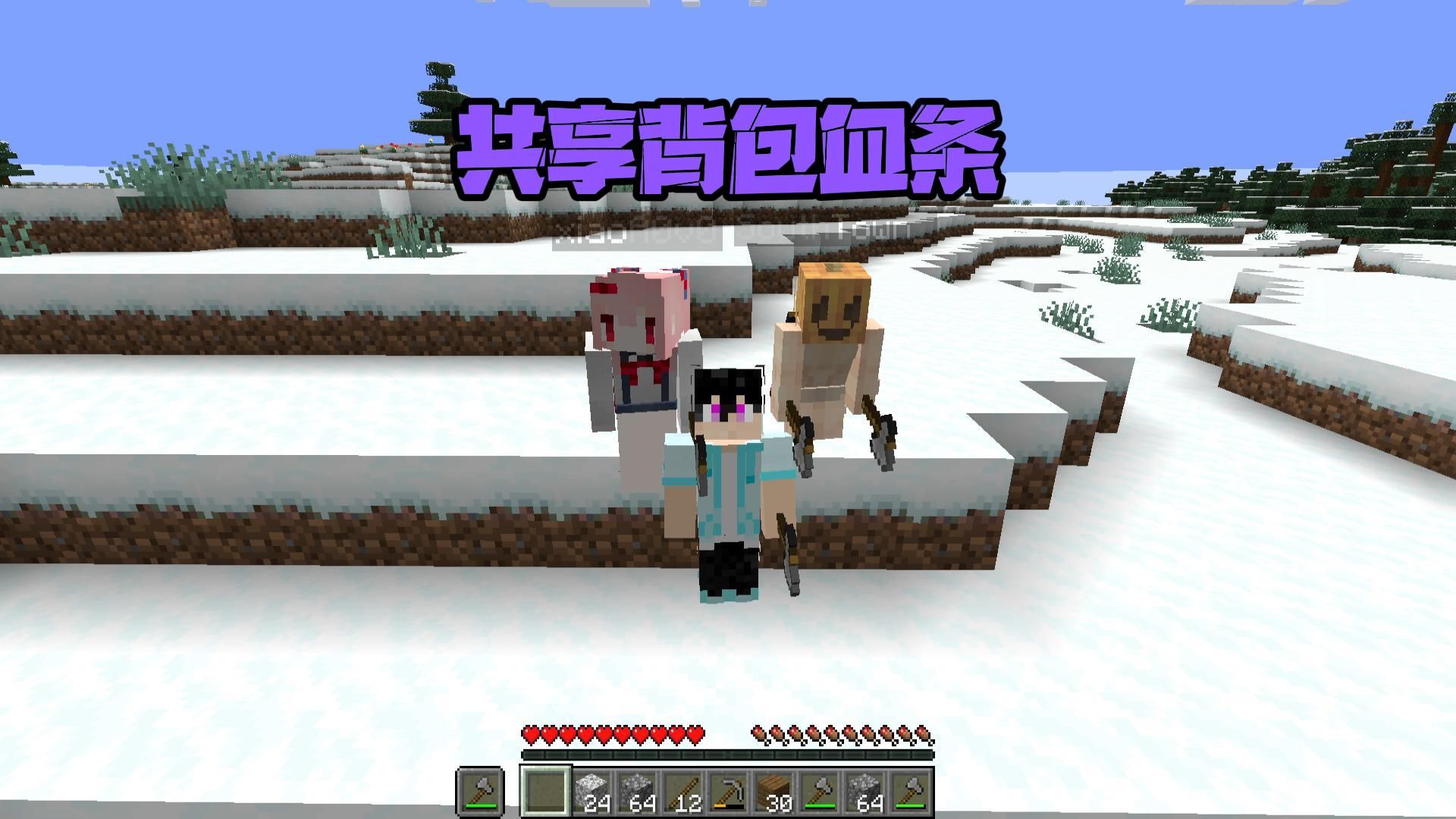 友尽数据包玩完散伙了！《共享背包血条》