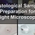 【JoVE】常用的生物学实验技术（5）制备组织学样品用于光学显微镜技术
