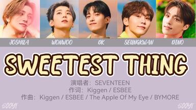 SEVENTEEN《<em class="keyword">Sweetest Thing</em>》电视剧OST