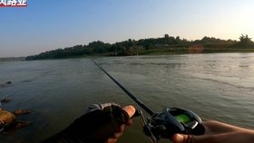 6a0e7eba07900fc28a5b3846e0c7ef76e0a7319b.jpg@280w_158h_1c_100q.jpg