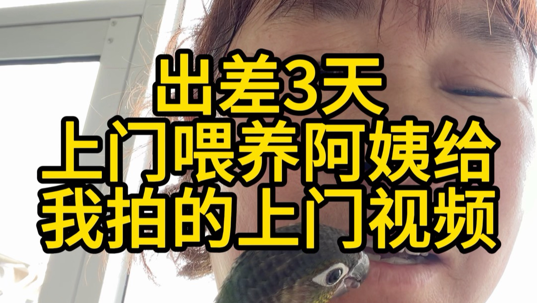 人在上海出差，收到了上门喂养阿姨的视频，剪了一下还挺好玩