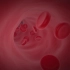 【C4D教程搬运】血管动画，可以用做抗疫视频或医疗视频的素材（中英字幕）