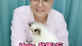 6a3444d41b33e4a43e5e939fb7cfc3da942887a6.jpg@280w_158h_1c_100q.jpg