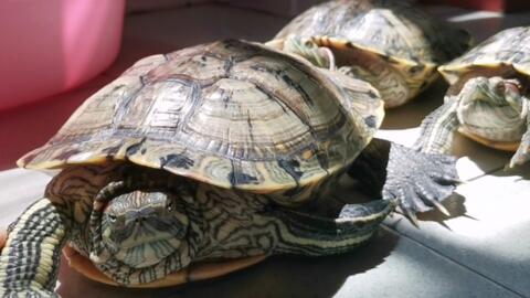 6a3a68b2bfc2020ddf3e1a57cb88c8e4b6d34489.jpg@480w_270h_1c