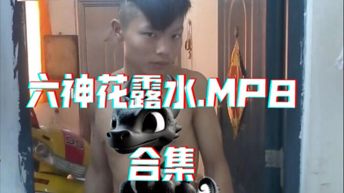 六神花露水专辑合集