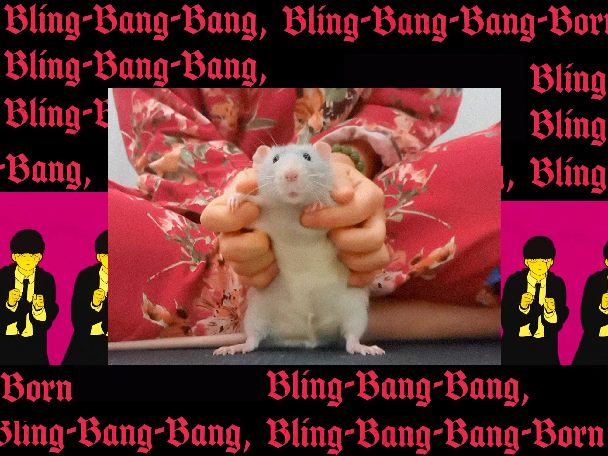 被迫blingbangbang的鼠 & 鼠妈
