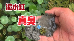 6a856cb8e69d262de97172ee8afc6d3ccb2cb07b.jpg@280w_158h_1c_100q.jpg