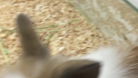 6a959a3dd717994068c2c44ce044fb92b0b6aca2.jpg@280w_158h_1c_100q.jpg