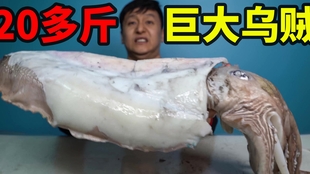 6a9aa5489eff778f9c8368717f1cf0cfd1e191e2.jpg@310w_174h_1c_100q.jpg