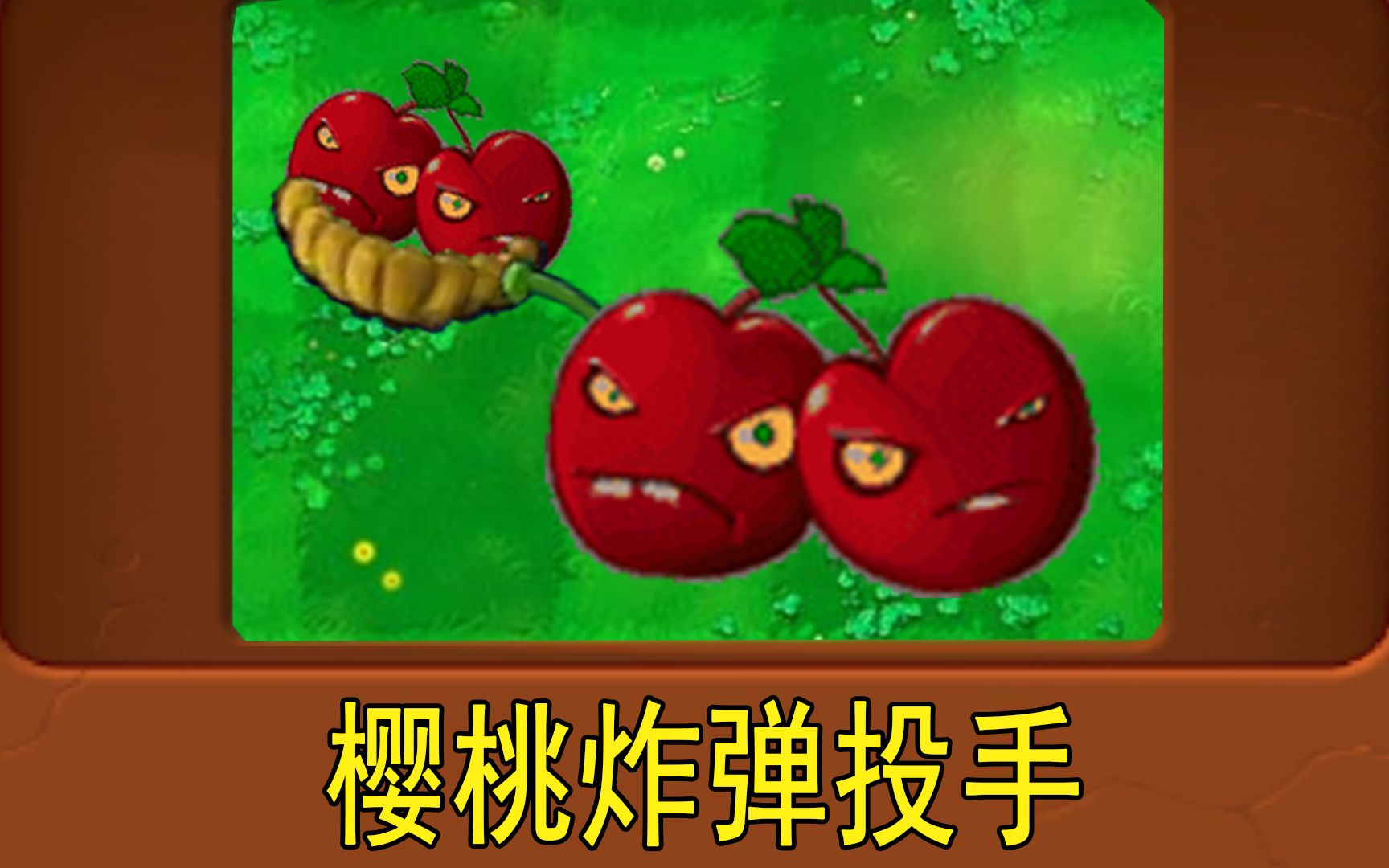 新植物樱桃炸弹投手植物大战僵尸魔改版