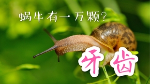 6aa870345bccc2763df30ed05e07d83803ba1b7d.jpg@310w_174h_1c_100q.jpg